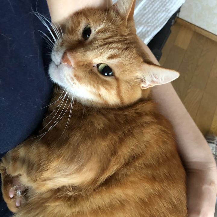 29dca235 b6a4 44ff 9b7e 59c4aa2bae34 1637449095087