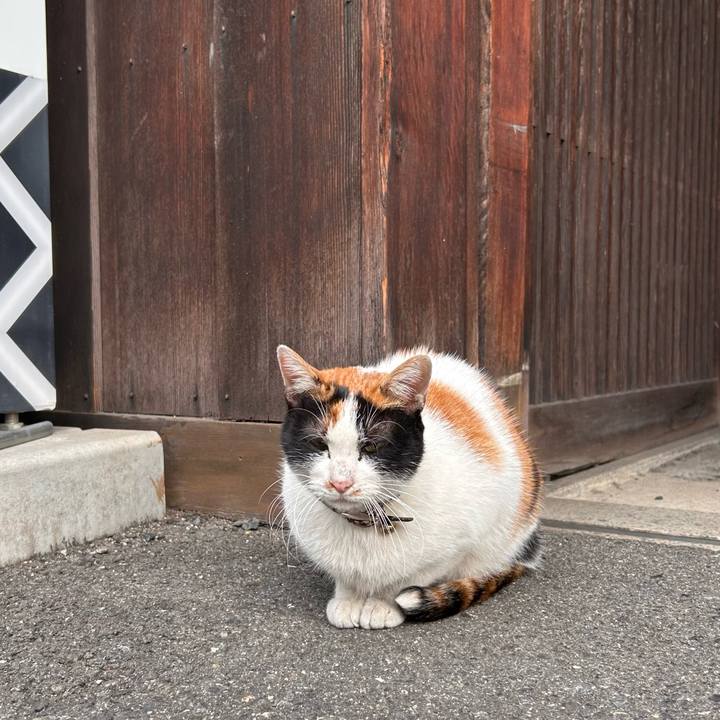 29dcfbf4 d3f3 4ec3 90a2 8325517e38bb 1733789306756