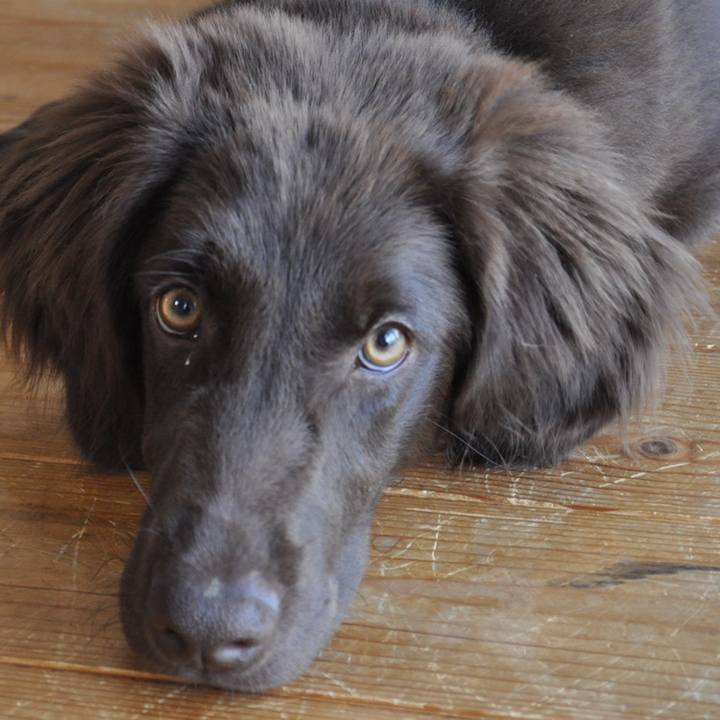 29dd423f 48c6 422c 8ecd 910fb4d415d0 1558650604083