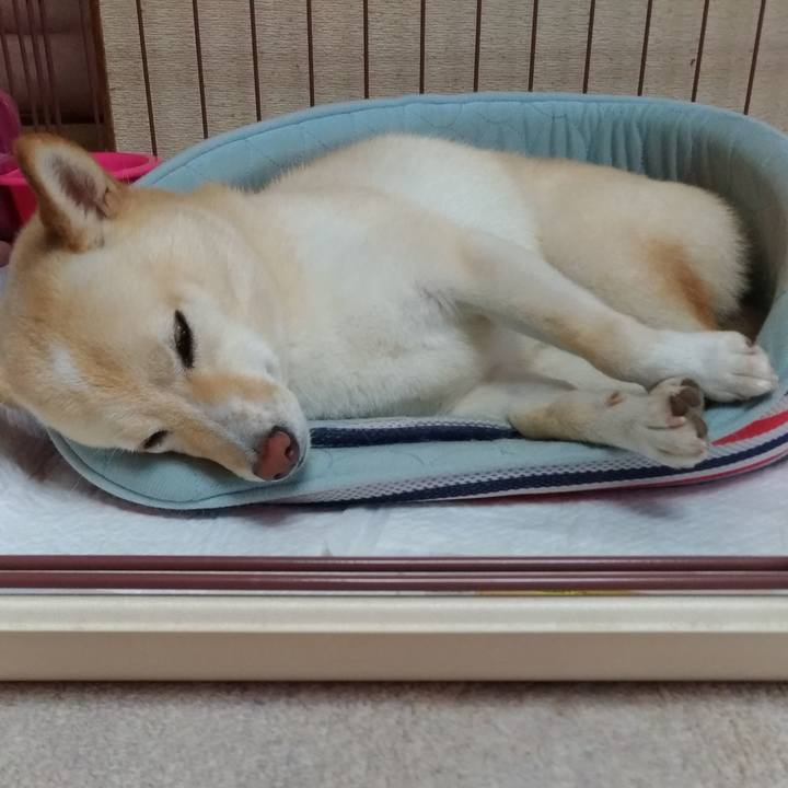 29dd8ce6 ee4f 48f7 b3d6 c64256444151 1567315603539