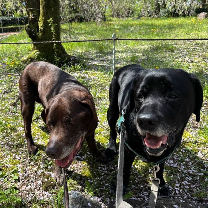 29dd8eaa 9fe7 486e b110 b385207b8396 1775994266082