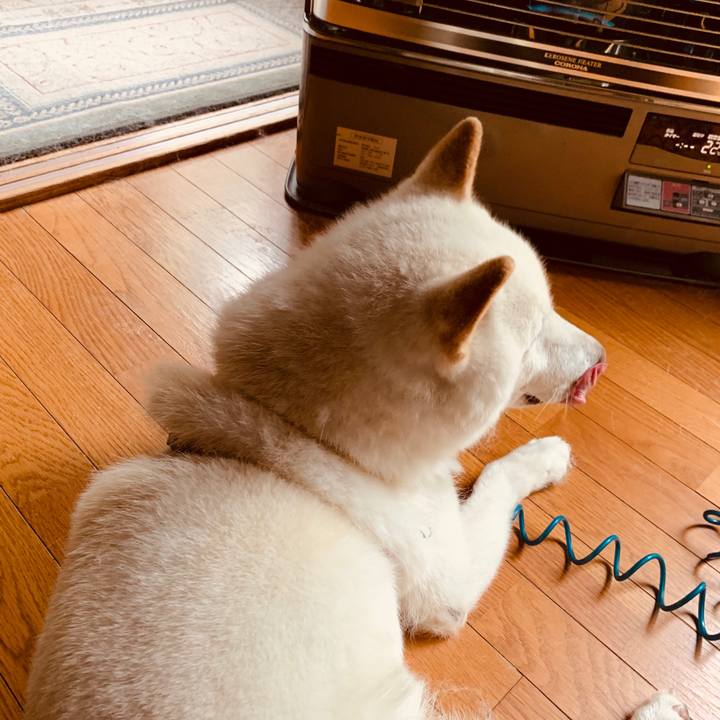 29dd9fe2 ce0e 4b81 85a6 5ccbeb41a4ca 1592598688025