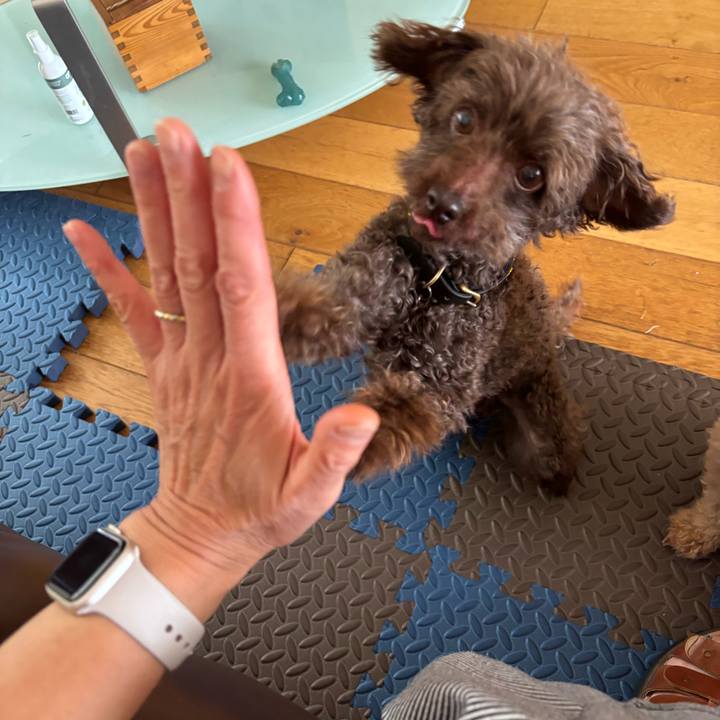 29dde503 9ccd 4d9f b59b ec0f692fc197 1753007970436