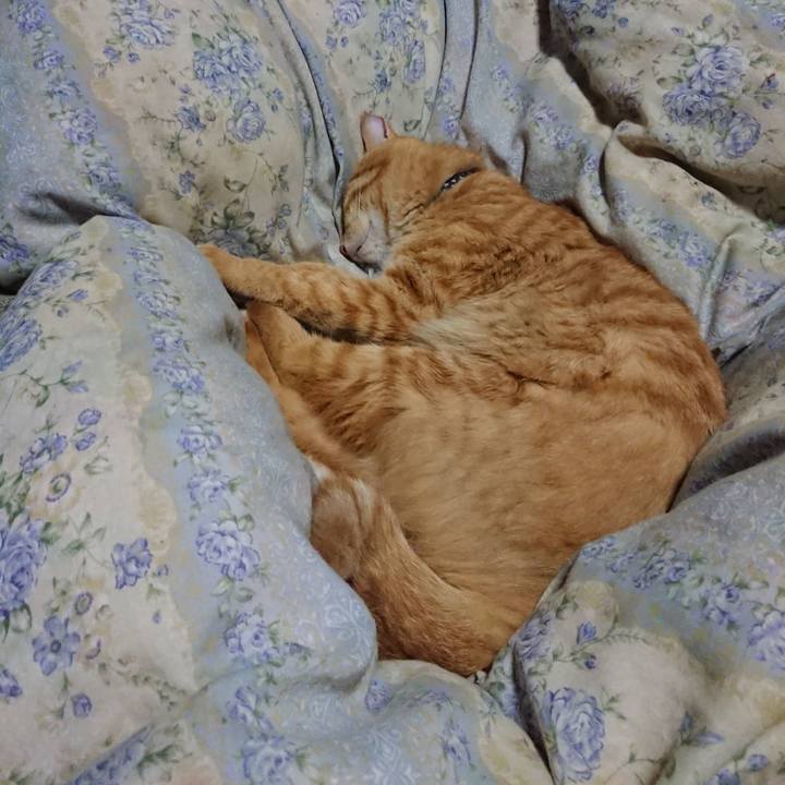 29ddf290 73b0 48f4 a53f 5634ff85d34c 1661343686855