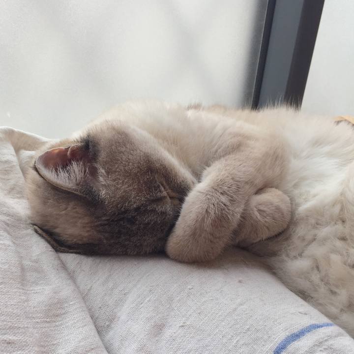 29de0221 c7cb 4b18 b15c 9fb24329e070 1562203675132