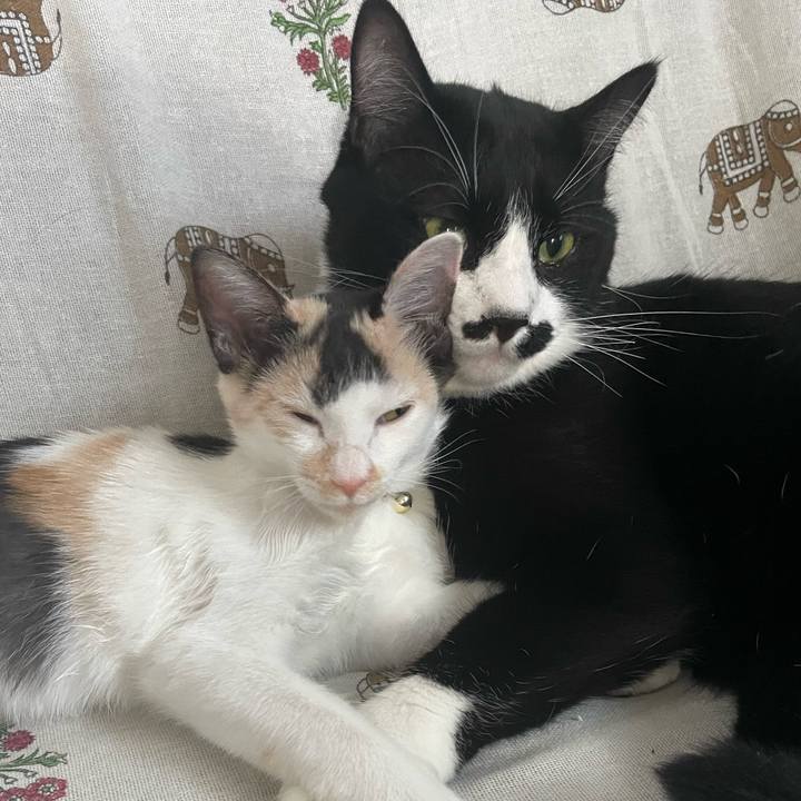 29de0afc 0090 40d5 b1af 8b52dfc8fb17 1663138282340