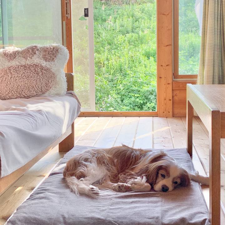 29de2732 df4d 4483 8f74 e1e68cebadb2 1602465114911