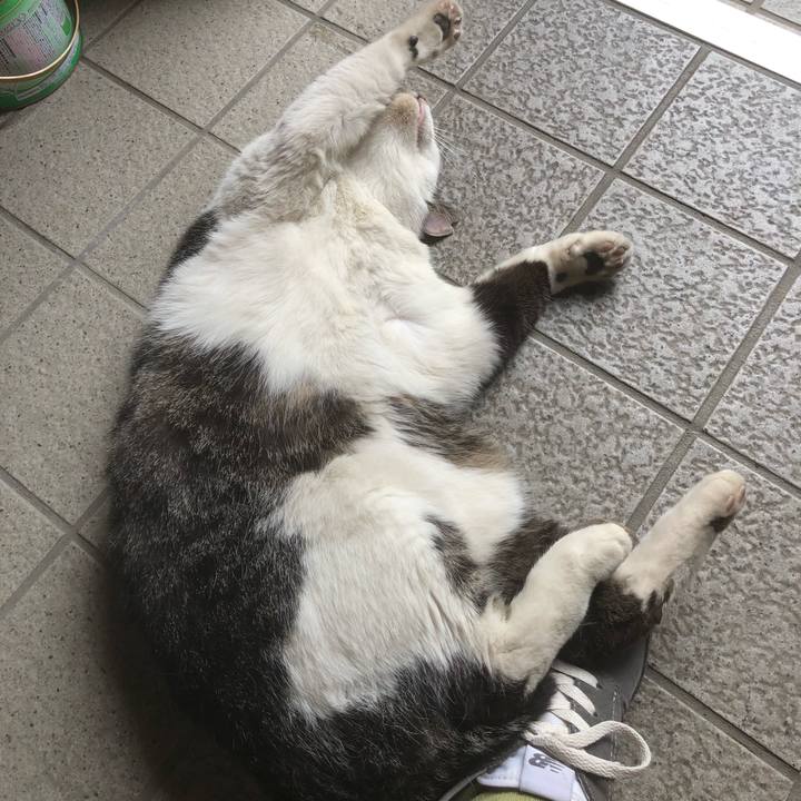 29de37ec 6417 476f 87b4 52156ba30247 1527657350479