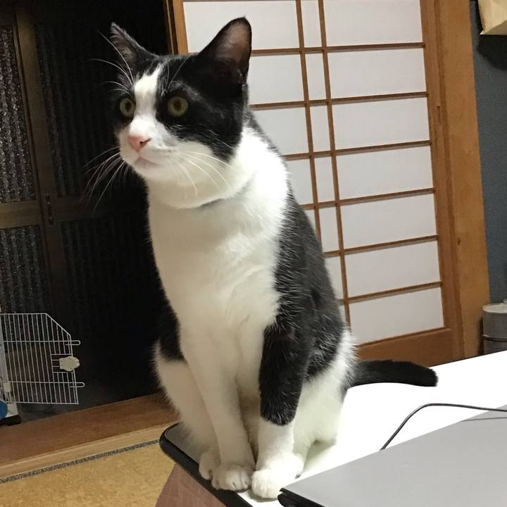 29de62f4 40fa 4e87 a94a 201f14096f66 1714126035630