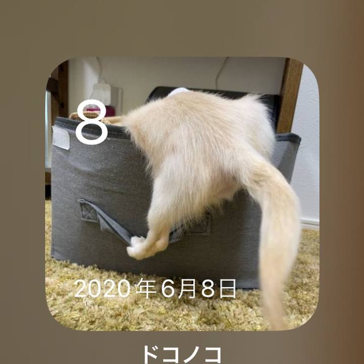 29de6b3d ccb2 4367 8026 f4701b2e1a98 1686213341775