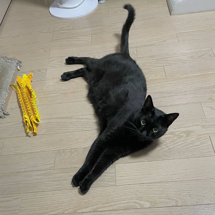 29de6d4d d55e 419a b3a5 2a93dcbae364 1721305851121