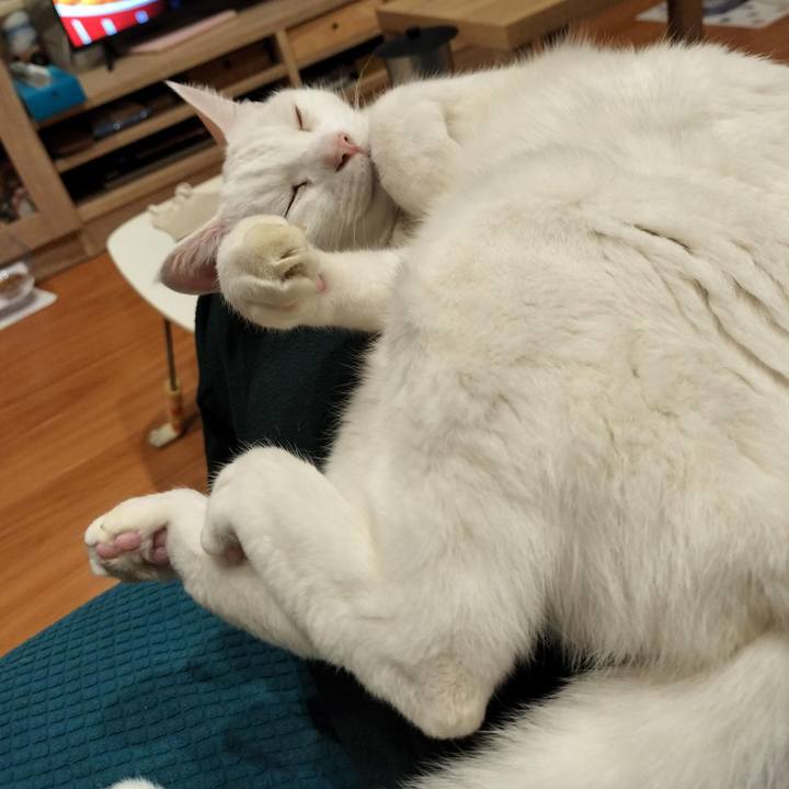 29de6fed 9fa5 4d88 974e 19dabe19ebd6 1765809399020