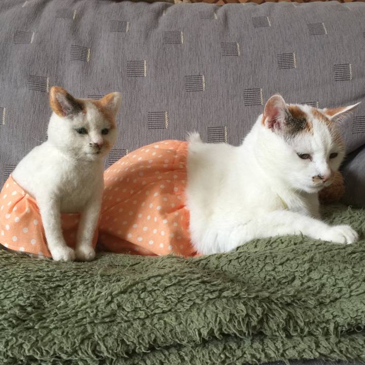 29ded0ec 3172 44f8 8238 1f526342031f 1527056914888