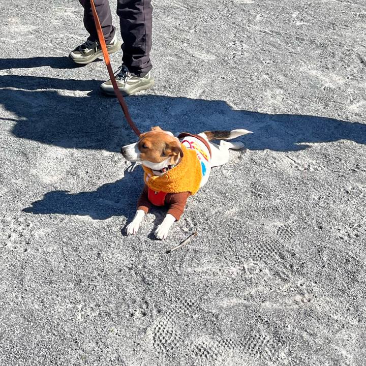 29df1a15 53c0 4065 90fd 956efc9654c2 1740393510075