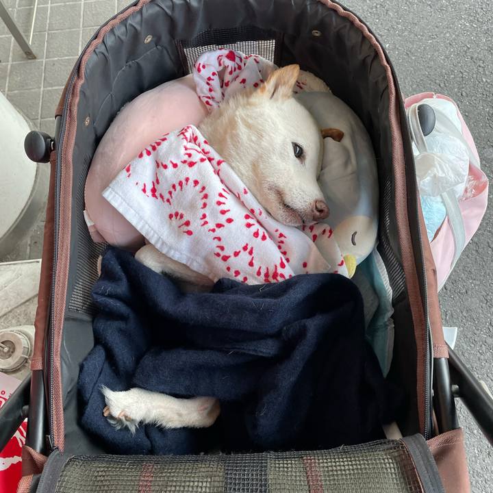 29df1b40 2eaf 4fc7 95f5 4c719942464e 1671715407681