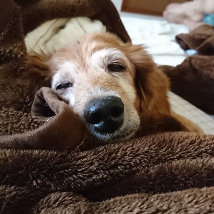 29df2229 a00f 4312 ad00 3b931cdffd0c 1576774506722