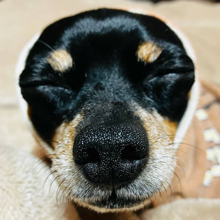 29df2765 815a 40d2 874c 4001dc4cf78a 1770593072401