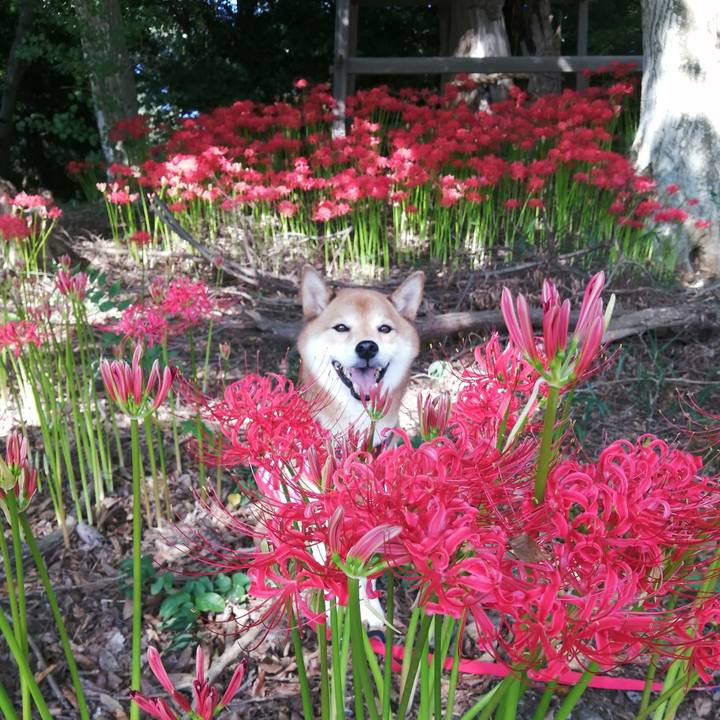 29df2b7c 2efb 45b7 9935 c6e760a2cfd6 1663324852916