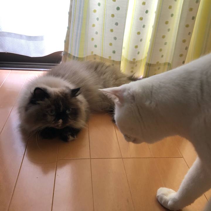 29df2f90 4c1e 49c9 9cfa e5c1365aa940 1660193478405