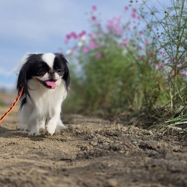 29df3c2a bf4a 4c06 8287 10c0095bbdcf 1760354622131