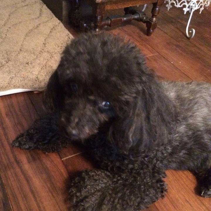 29df4f8c 922f 4ab4 b7e9 9e4a9a523dd3 1529452591940