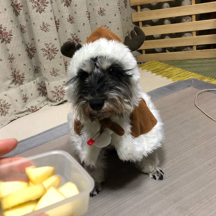 29df55cc 9f55 4cf3 9d7b 127c313a1786 1608899521550