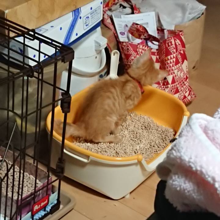 29df862c b30d 4ac7 9d72 87de8993016b 1628370260631