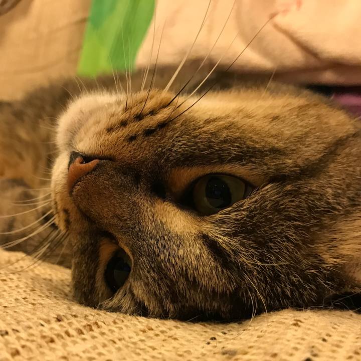 29dfc88c 444b 40d4 9a34 32eec7505b7b 1534418420372