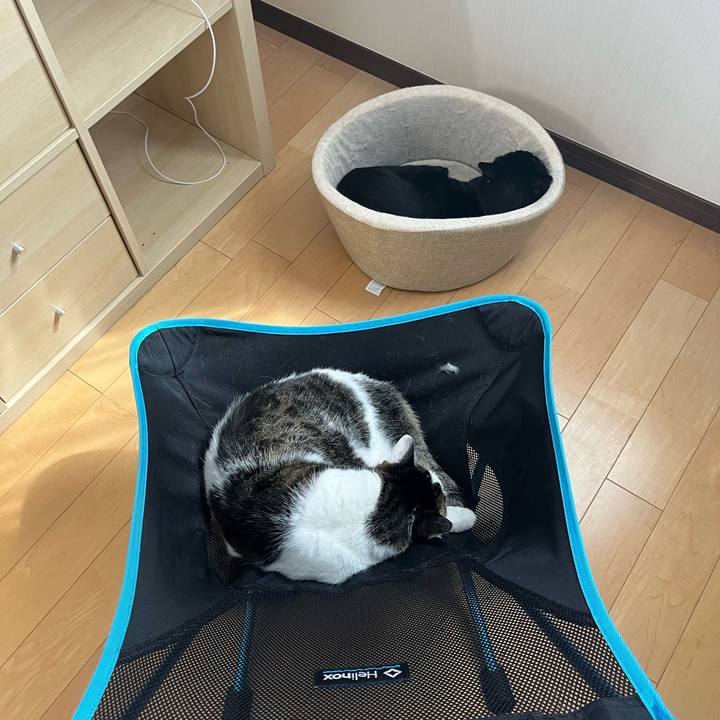 29dfe1cc ed6f 4832 bf48 676a95607965 1724303724824