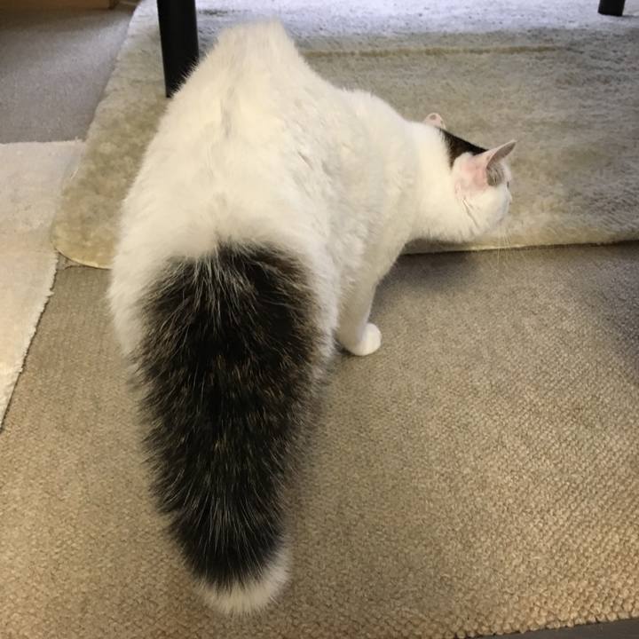 29dfe486 bc57 4990 8f2c 81d497d8c305 1508113355521