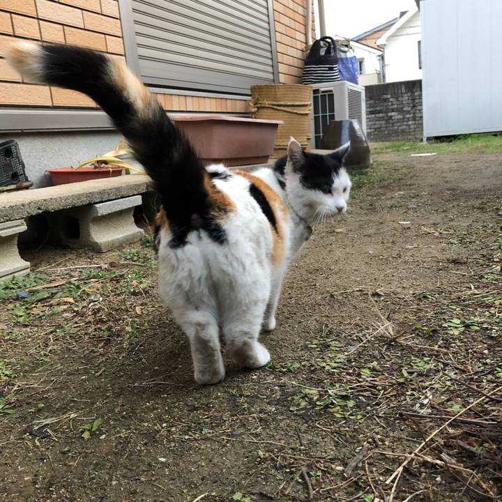 29dff1b7 d49e 4b49 904a 08aeaf2756ef 1612304731785