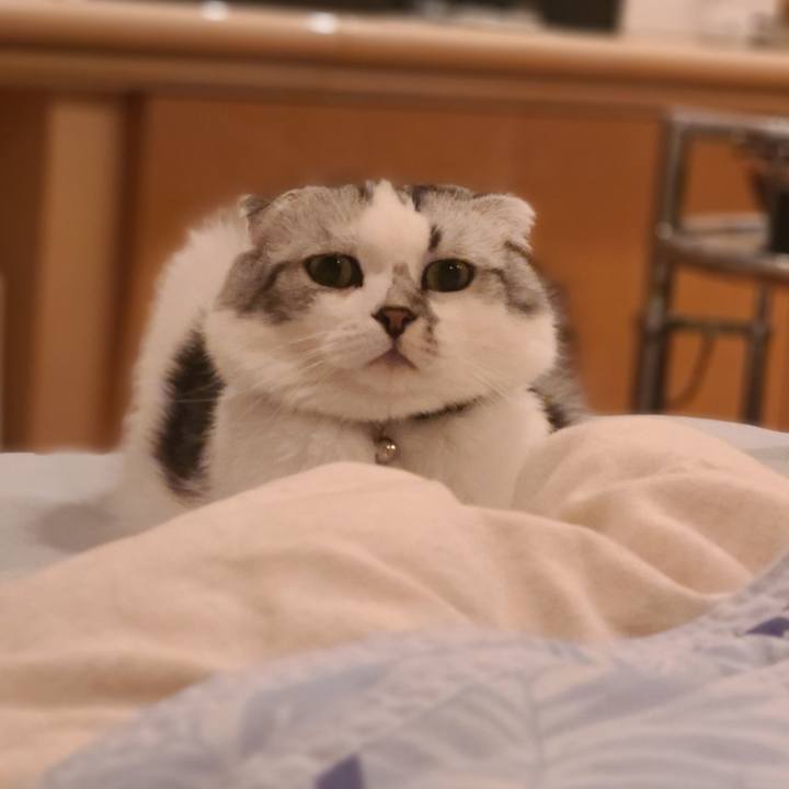 29dffad9 a1a9 4409 b943 864b4b8ff572 1688725245716