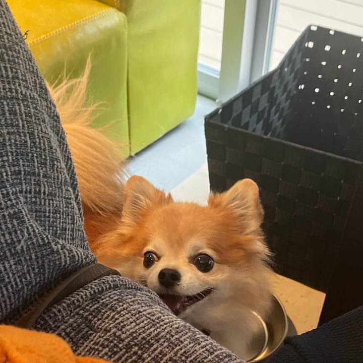 29e0108e 8b20 4031 b78b aab5b188a8fe 1758462436988