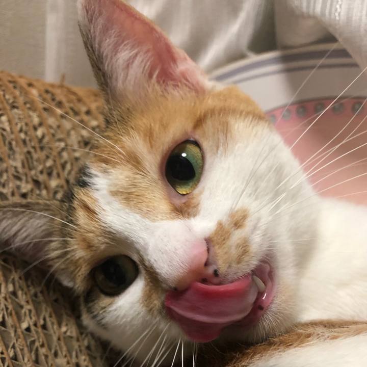 29e04039 be55 489a 933d 9bab0748243b 1599918098074