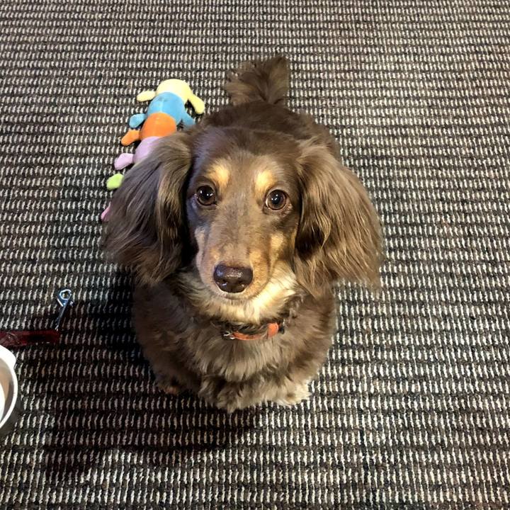 29e05fdc a80e 4928 816d 71209545cebc 1556601017143