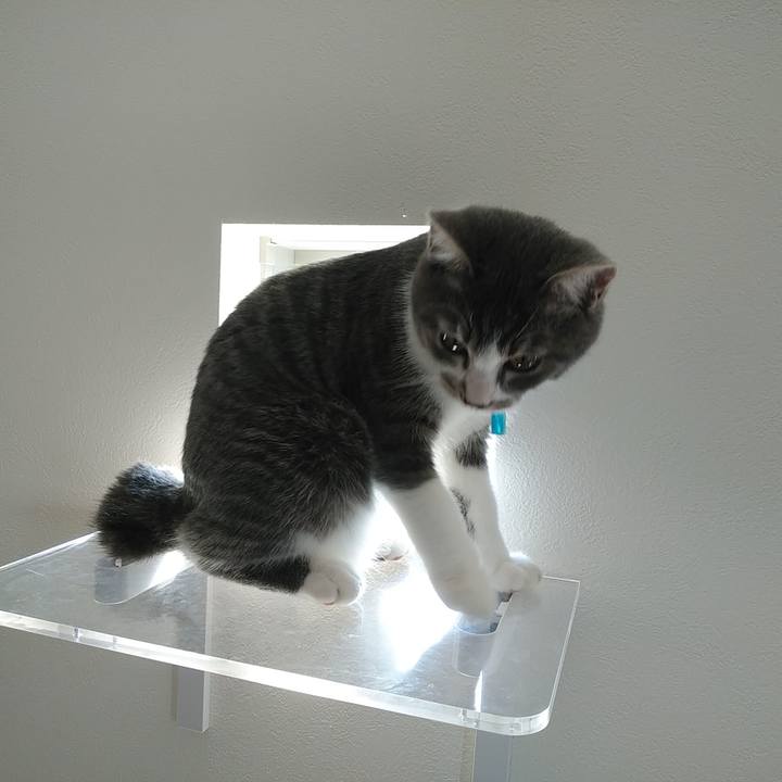 29e08cef ef77 421d 81f8 c59db9fc4931 1569368349492