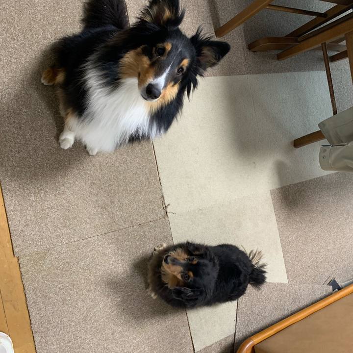 29e0aa5e 2c7a 4fd6 b072 ad29d87f4a08 1551391015682