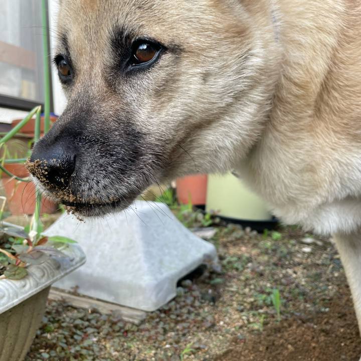 29e0e22b ebfc 41ae b8f4 21d17f40d28e 1659961907003