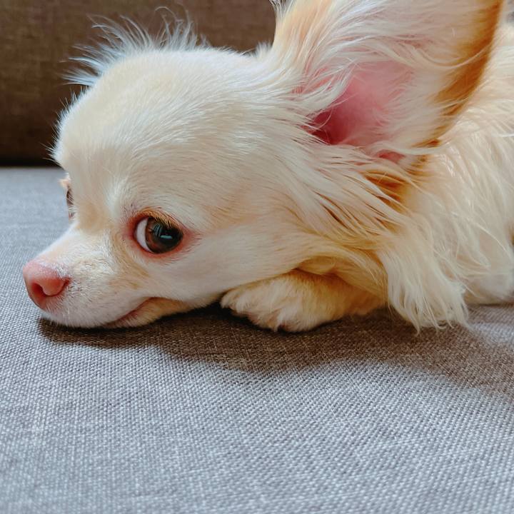 29e0e6ba e030 41af 9ad7 98376aac76a0 1653388118787