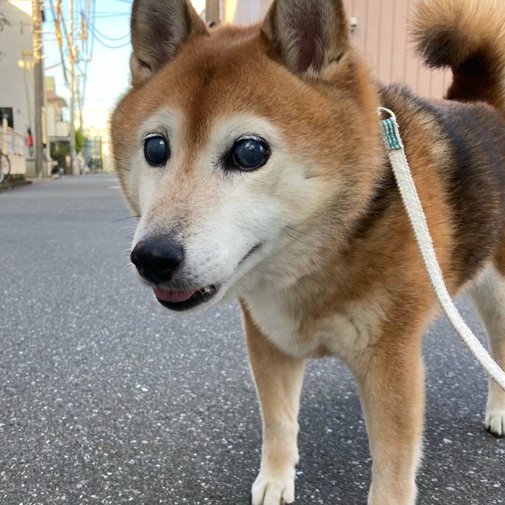 29e10a7a b725 4f20 a0d4 fabcfd0b89cb 1725535186921