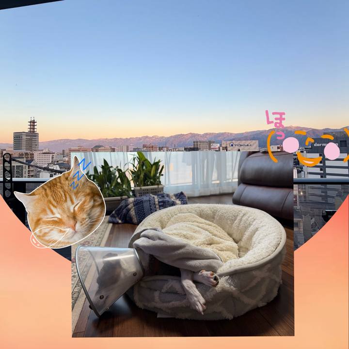 29e13c5b 2087 4c03 9e45 bfda7d28833f 1766129286399