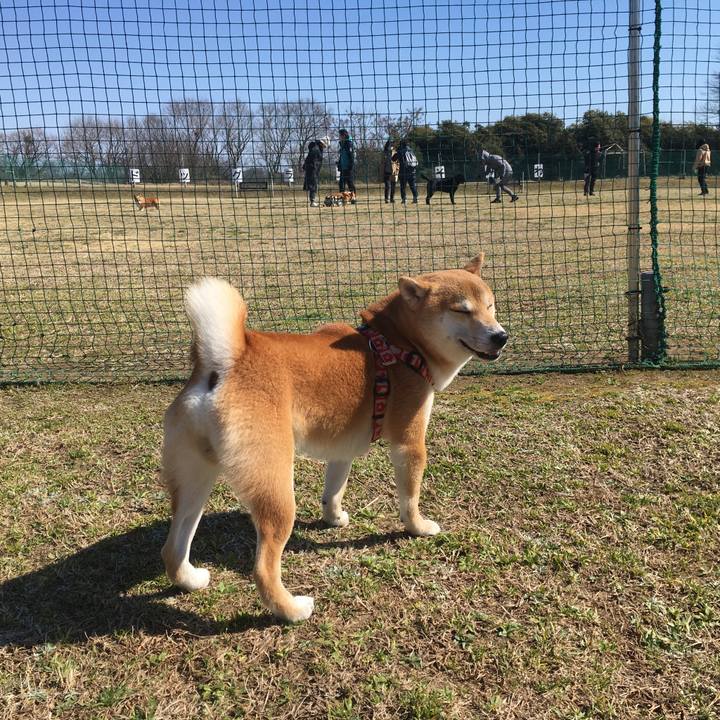 29e18f06 9d74 4559 9ee2 ca20849d8d0d 1520662522925