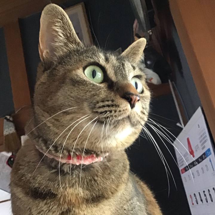 29e22552 0d36 45a1 98dd fa49863bbc62 1682327846517