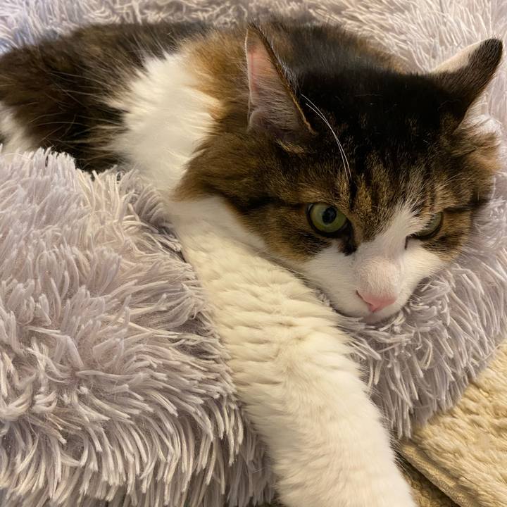 29e22fa5 a888 403c bb1f a452e3f202f4 1668379325175