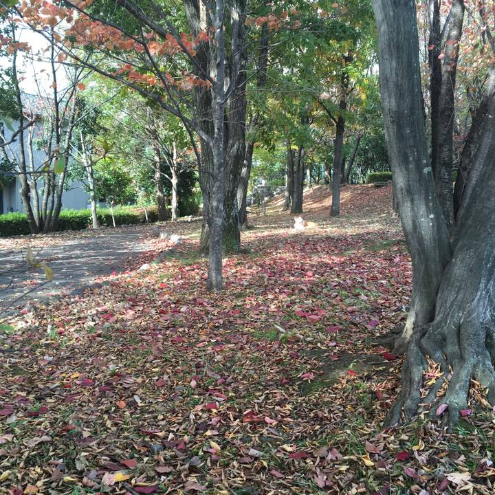 29e2665c 4d37 46e5 a4a5 a47ed51f92e1 1542874258336