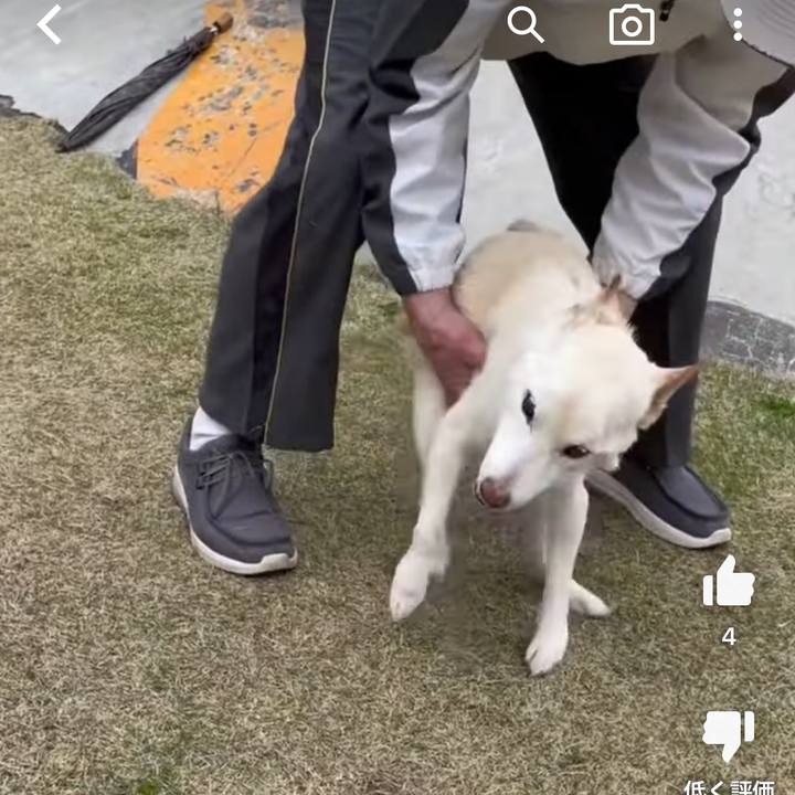 29e2a216 483e 4195 b9c8 f04820ec69ff 1679228418295