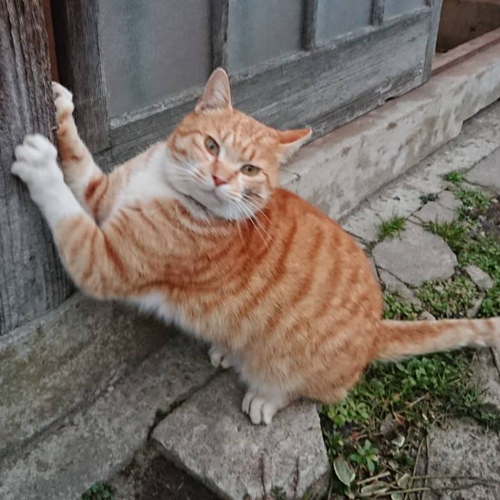 29e2a3f1 26fe 4bce 9a28 9648e5cf085c 1583311939753