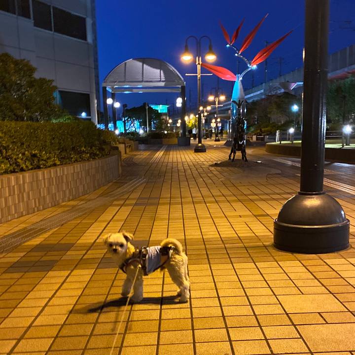 29e2da83 f031 4223 9266 f0ac86ff540b 1572858314043