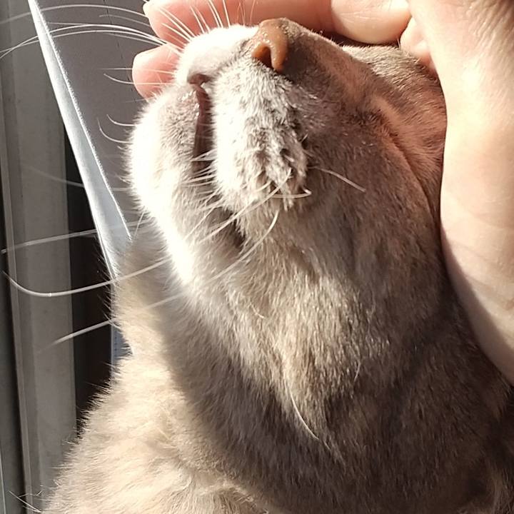 29e2dab4 653b 40e6 b4ab 1ee2f6cda3ad 1670634342158