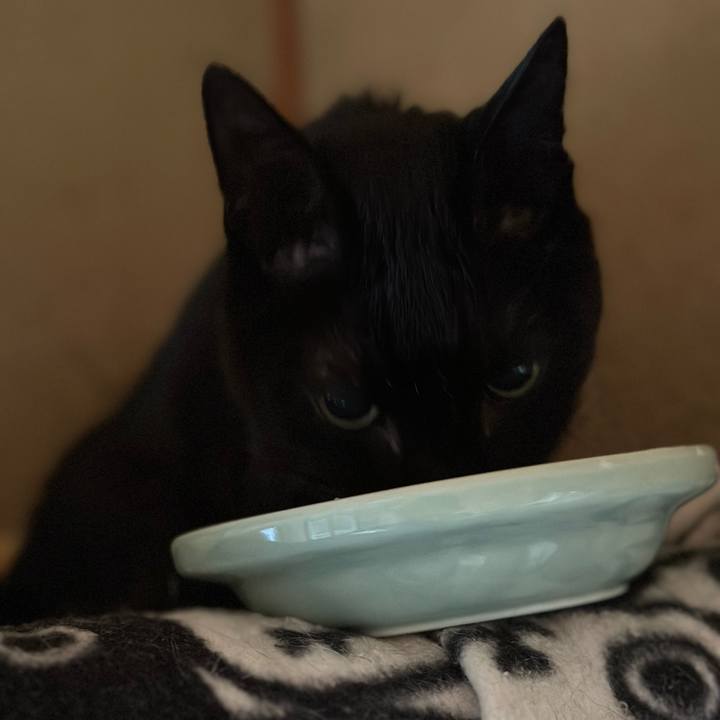 29e30e80 f506 4e8a 8f0f 1a20debf27ec 1711330340245